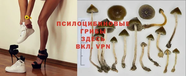 эйфоретик Армянск