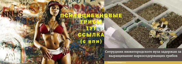 apvp Аркадак