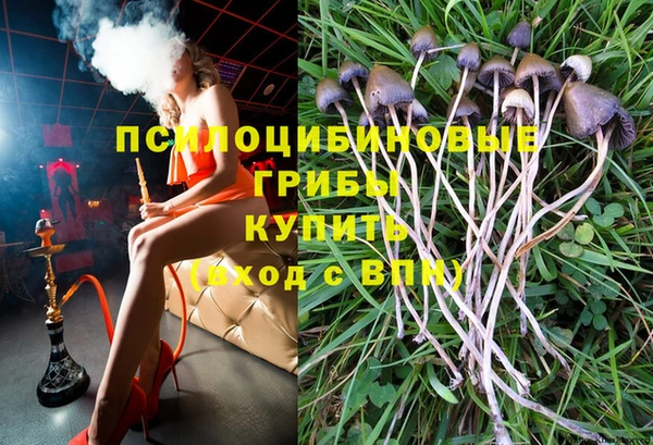 эйфоретик Армянск