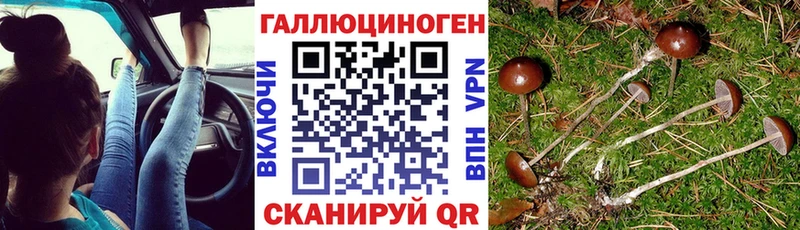 Псилоцибиновые грибы GOLDEN TEACHER  Краснослободск 